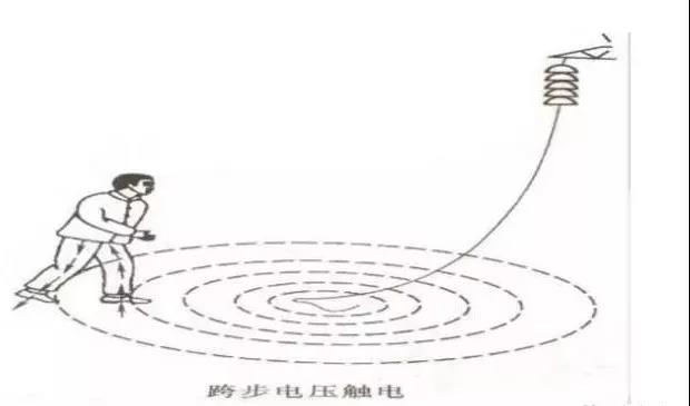 微信图片_20180515084543.jpg