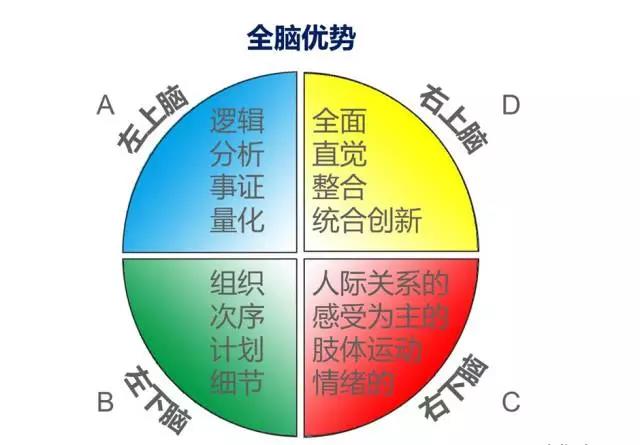 brain dominance instrument——全脑优势思维模型,由美国的